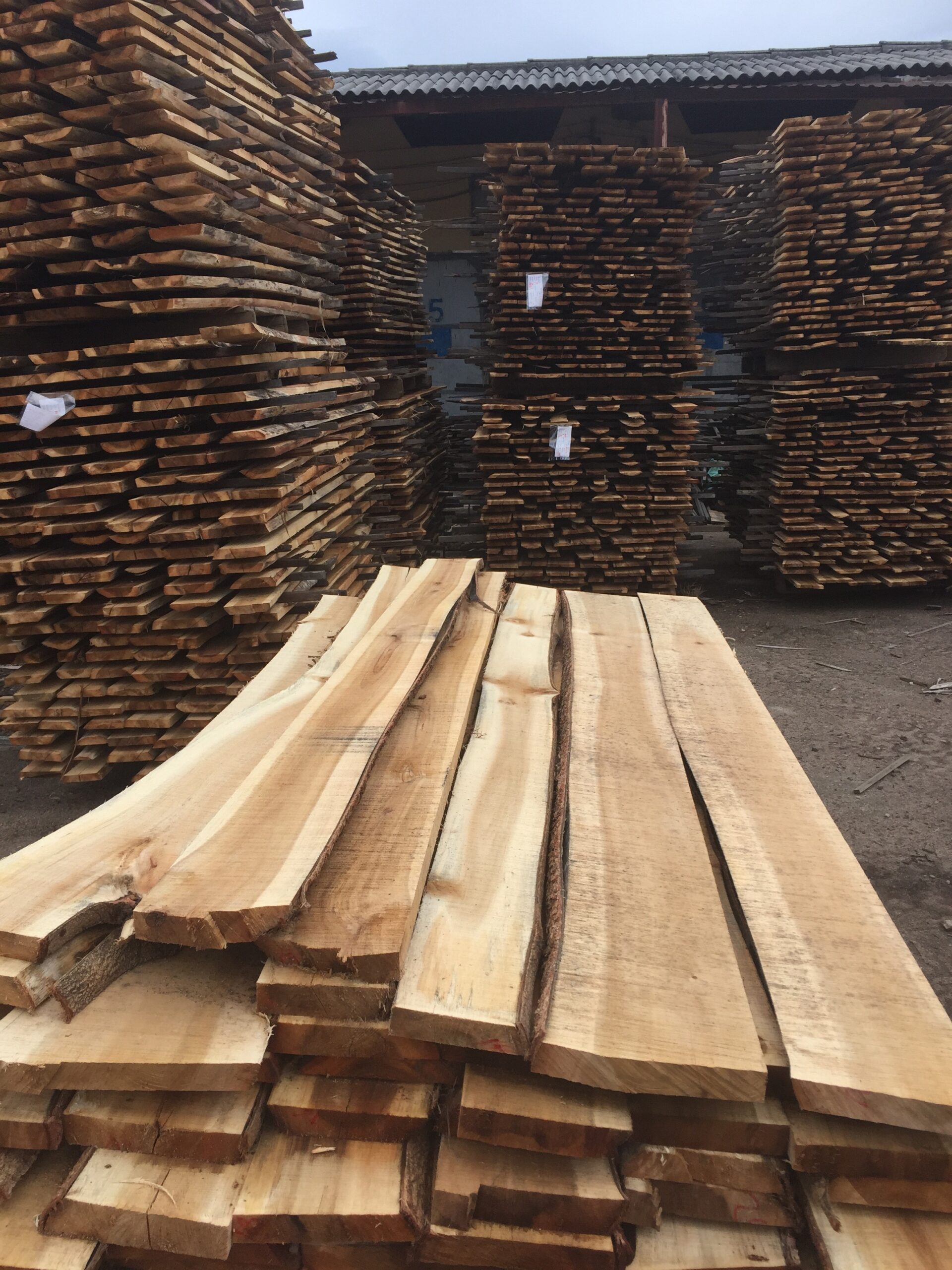 What is Acacia Wood?